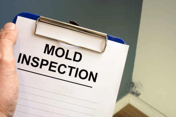 Best Commercial Mold Inspection  in Clayton, CA